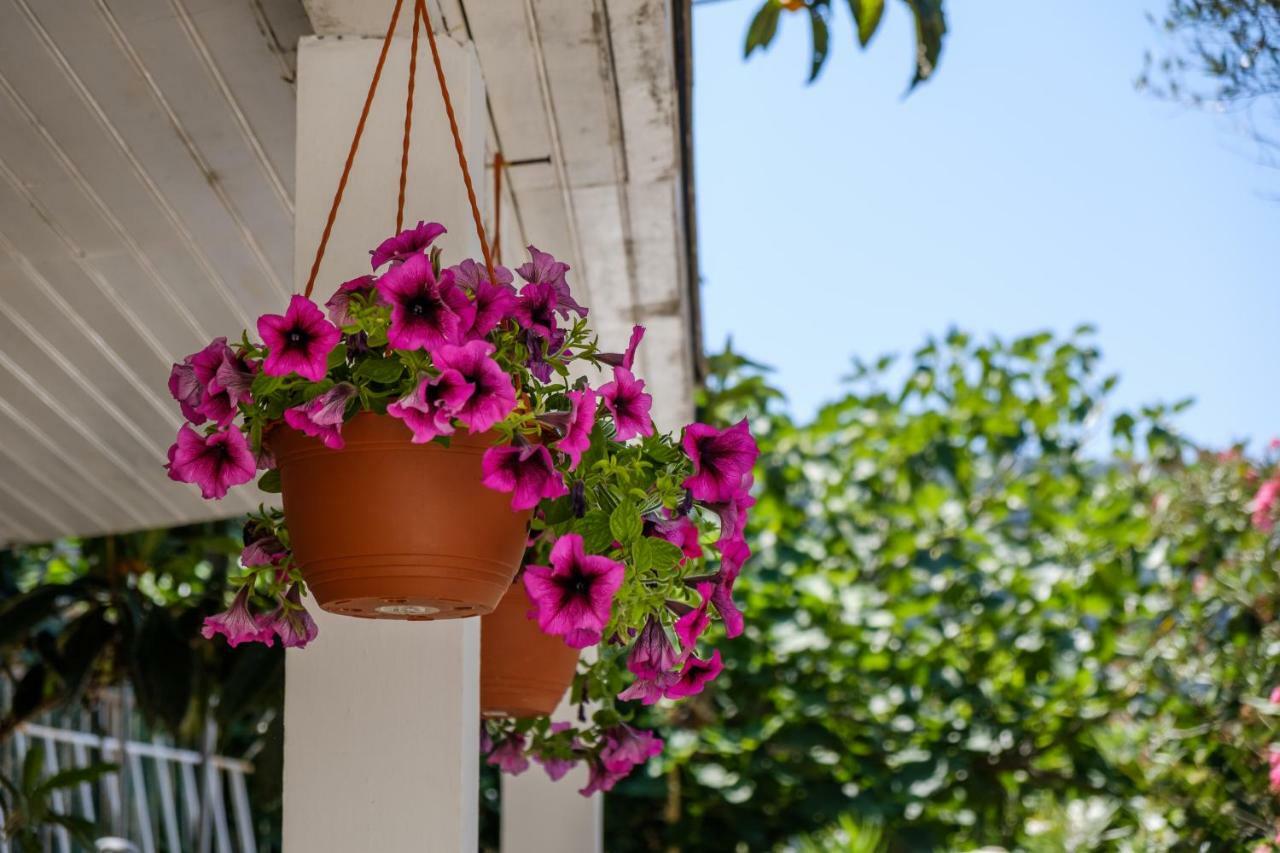 Cuore Di Milka Apartments Veli Losinj Exterior photo